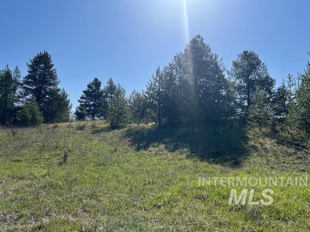 TBD Pleasant Acres Dr, Weippe, ID 83553