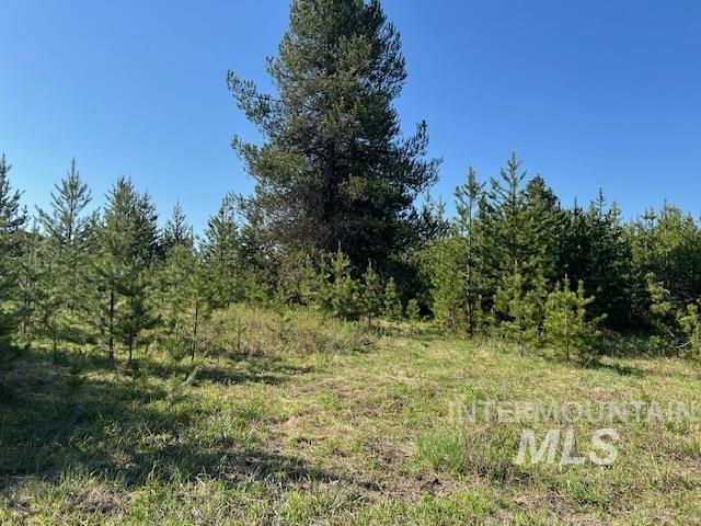 TBD Pleasant Acres Dr, Weippe, ID 83553