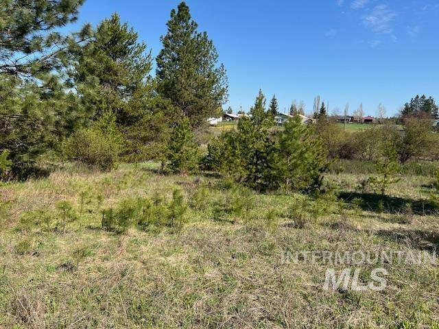 TBD Pleasant Acres Dr, Weippe, ID 83553