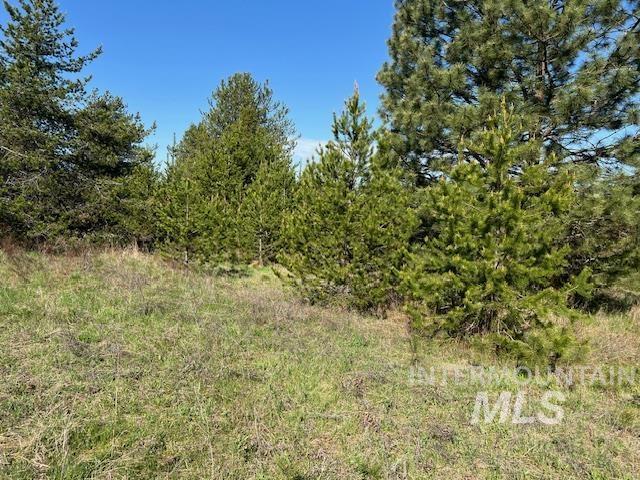 TBD Pleasant Acres Dr, Weippe, ID 83553