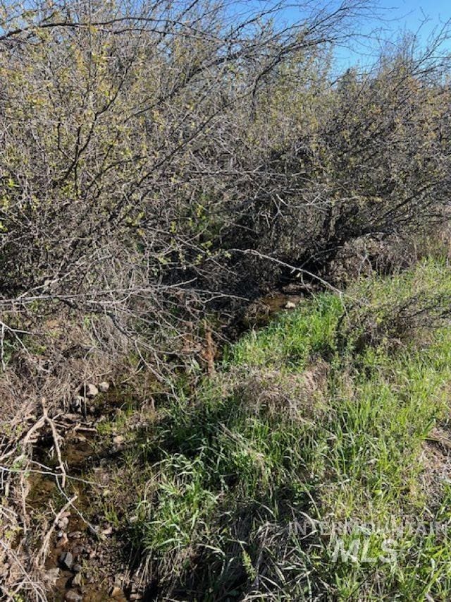 TBD Pleasant Acres Dr, Weippe, ID 83553