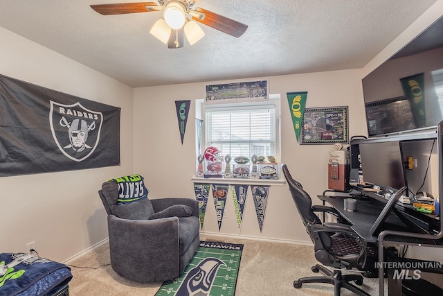 319 N Westminster St, Nampa, ID 83651 - office space featuring carpet, a ceiling fan, baseboards, and a textured ceiling