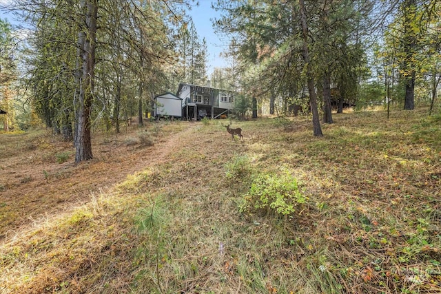 view of yard