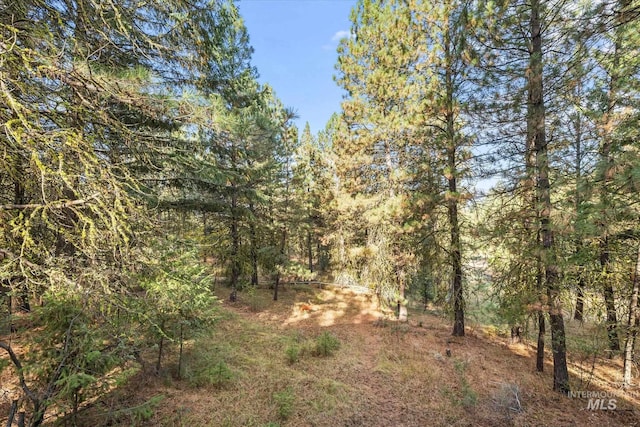 view of nature featuring a forest view
