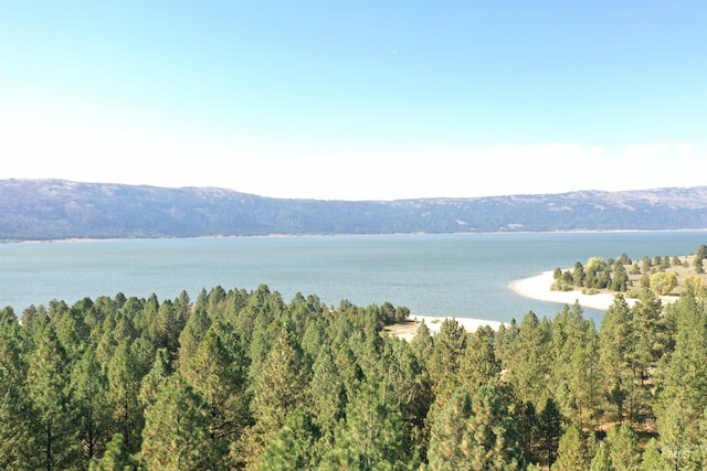 water view featuring a view of trees and a mountain view