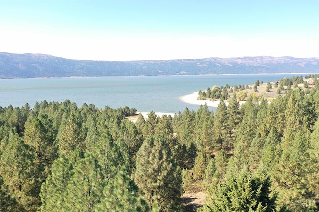property view of water with a mountain view and a wooded view
