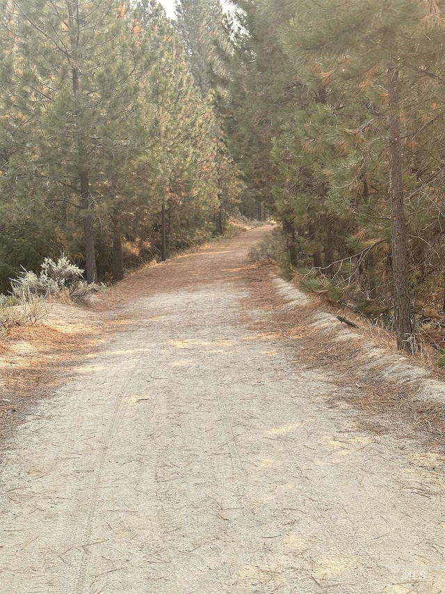 view of street featuring a wooded view