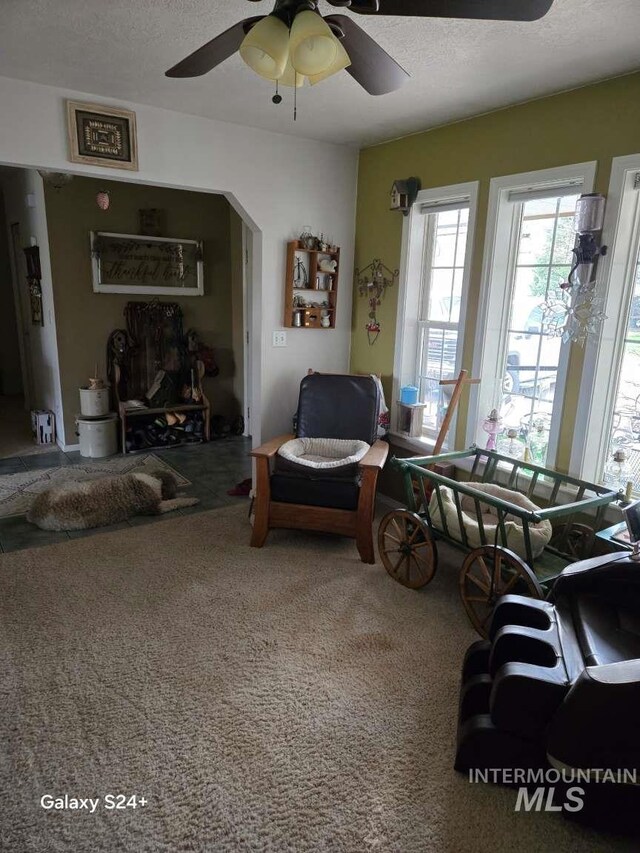 1280 Monroe Creek Rd, Weiser, ID 83672 - living room featuring a ceiling fan, carpet flooring, and a textured ceiling
