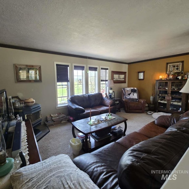 1280 Monroe Creek Rd, Weiser, ID 83672 - carpeted living area with crown molding and a textured ceiling