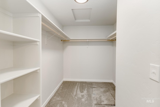 5303 E Grizzly St, Nampa, ID 83687 - walk in closet featuring carpet and attic access