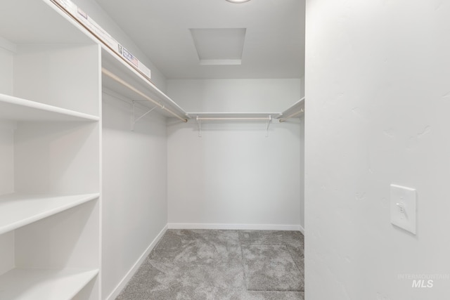 5303 E Grizzly St, Nampa, ID 83687 - walk in closet featuring carpet floors and attic access
