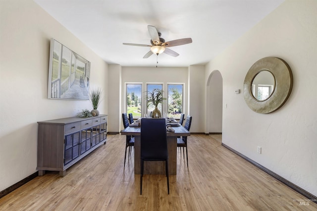 dining space with ceiling fan and light hardwood / wood-style flooring