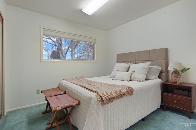 435 W 24th St, Burley, ID 83318 - view of carpeted bedroom