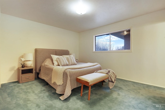 435 W 24th St, Burley, ID 83318 - bedroom with carpet