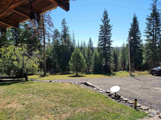14797 Grangemont Rd, Orofino, ID 83544 - view of grassy yard