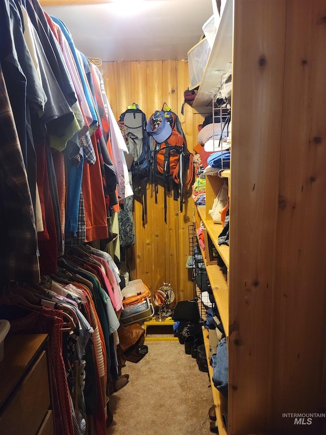 14797 Grangemont Rd, Orofino, ID 83544 - spacious closet featuring carpet floors