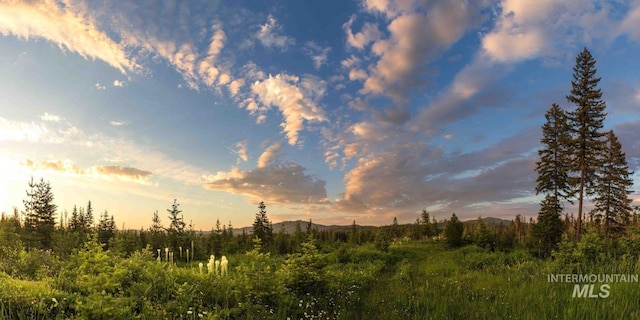 14797 Grangemont Rd, Orofino, ID 83544 - view of undeveloped land