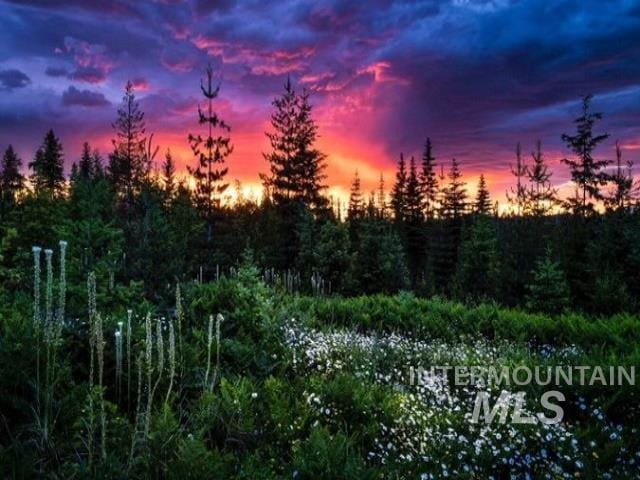 14797 Grangemont Rd, Orofino, ID 83544 - view of nature