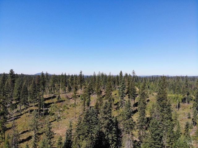 14797 Grangemont Rd, Orofino, ID 83544 - view of woods