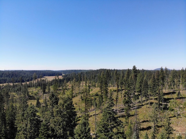 14797 Grangemont Rd, Orofino, ID 83544 - view of wooded area