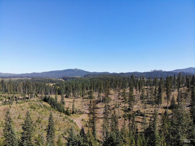 14797 Grangemont Rd, Orofino, ID 83544 - view of mountain background featuring a forest
