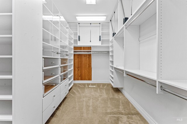 6990 S Skybreak Ln, Meridian, ID 83642 - walk in closet with carpet floors