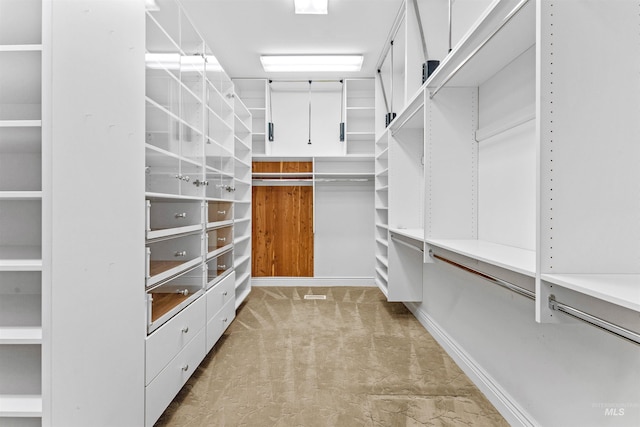 6990 S Skybreak Ln, Meridian, ID 83642 - walk in closet featuring carpet