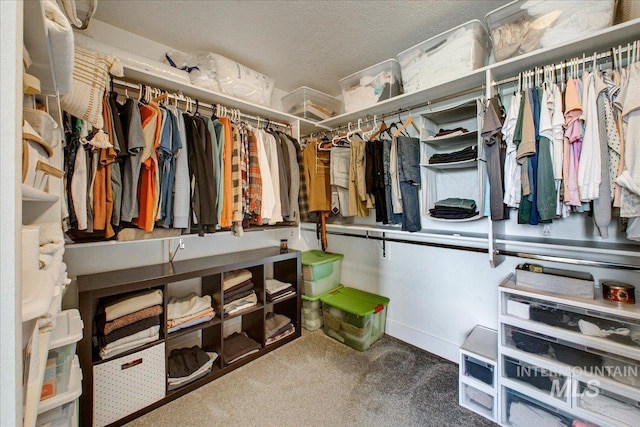 spacious closet featuring carpet flooring