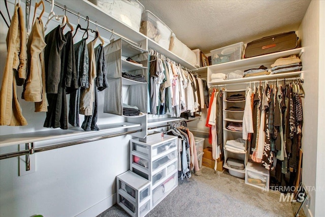 spacious closet featuring carpet floors