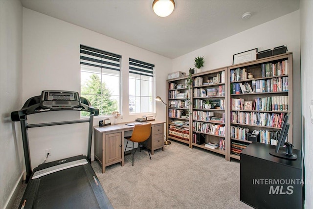 office with light colored carpet