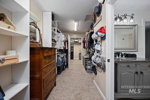 2123 E 3970 N, Filer, ID 83328 - spacious closet with light colored carpet and a sink