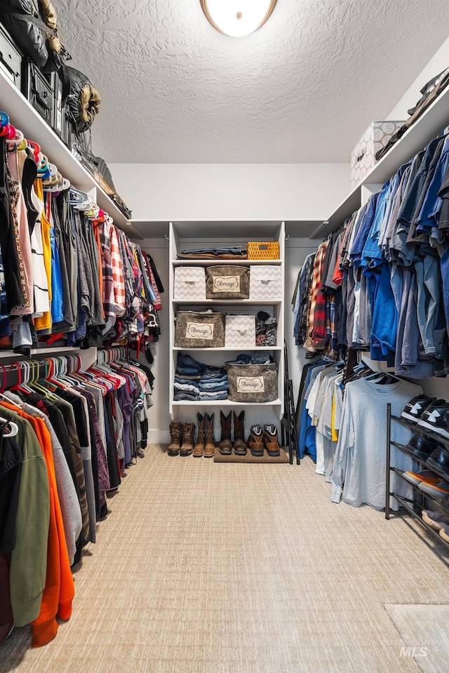 walk in closet featuring carpet floors