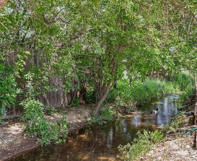 404 N Allumbaugh St, Boise, ID 83704 - view of nature
