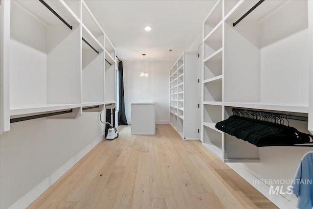 6162 N High Valley Way, Boise, ID 83714 - walk in closet with wood finished floors