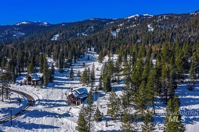 516 Whitewater Dr, Donnelly, ID 83615 - view of mountain feature