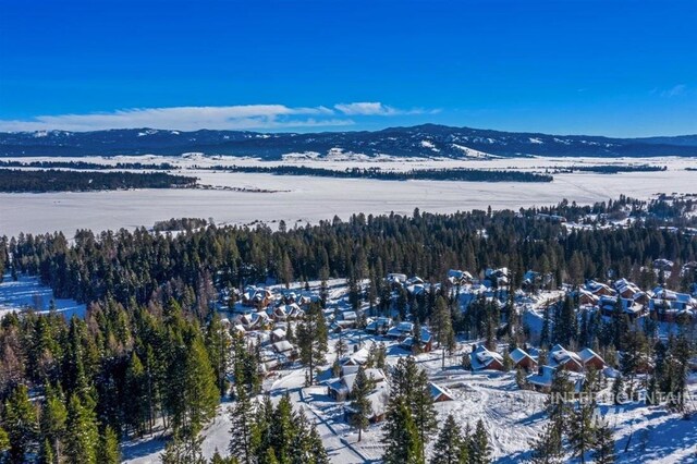 516 Whitewater Dr, Donnelly, ID 83615 - snowy aerial view with a mountain view