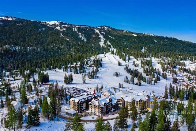 516 Whitewater Dr, Donnelly, ID 83615 - view of mountain feature