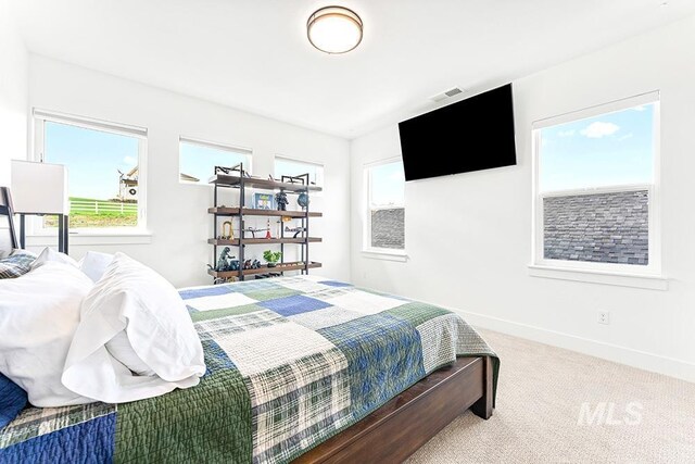 3012 E Parulo Dr, Meridian, ID 83642 - bedroom featuring baseboards, carpet flooring, and visible vents