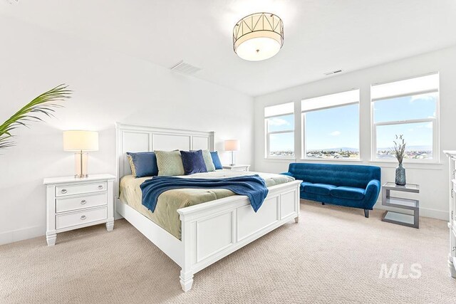3012 E Parulo Dr, Meridian, ID 83642 - bedroom featuring light colored carpet, baseboards, and visible vents