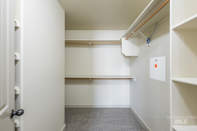11965 Goldfinch St, Caldwell, ID 83605 - spacious closet with carpet