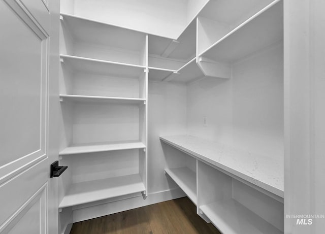 walk in closet featuring dark hardwood / wood-style flooring