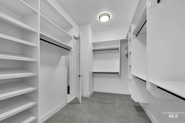 spacious closet with carpet