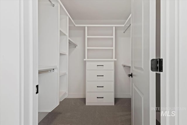 spacious closet with dark colored carpet