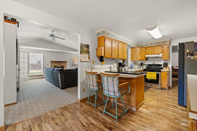 4667 S Shawnee Way, Boise, ID 83709 - kitchen with appliances with stainless steel finishes, under cabinet range hood, ceiling fan, open floor plan, and a peninsula