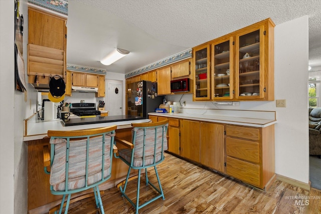 4667 S Shawnee Way, Boise, ID 83709 - kitchen featuring black appliances, under cabinet range hood, light wood-style flooring, a peninsula, and a textured ceiling