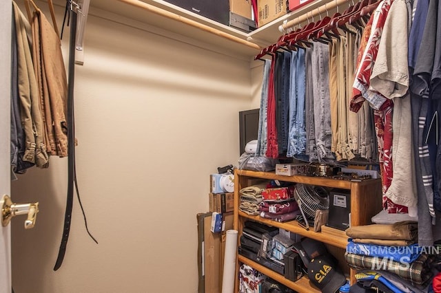 view of walk in closet