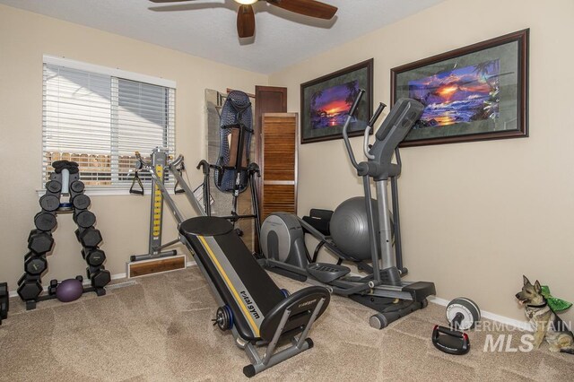 exercise area with a ceiling fan, carpet flooring, and baseboards