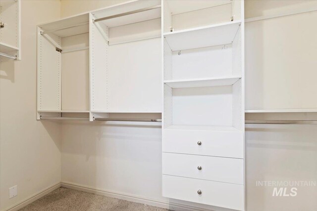 spacious closet with carpet flooring