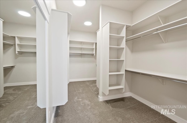 2843 E Murchison St, Meridian, ID 83642 - walk in closet with carpet flooring