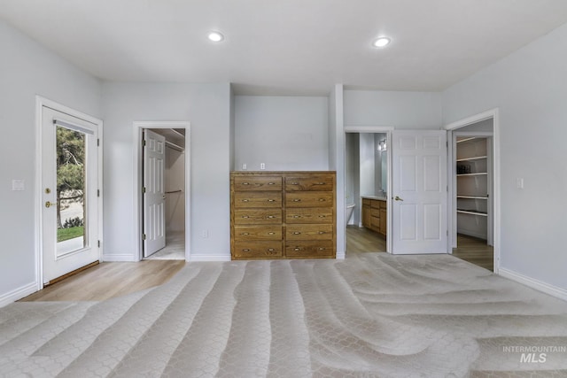 816 River View Dr, Twin Falls, ID 83301 - unfurnished bedroom with a walk in closet, access to outside, light wood finished floors, and a closet